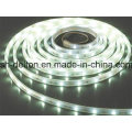 Waterproof SMD2835 8mm CE Approved Flexible LED Strip Light